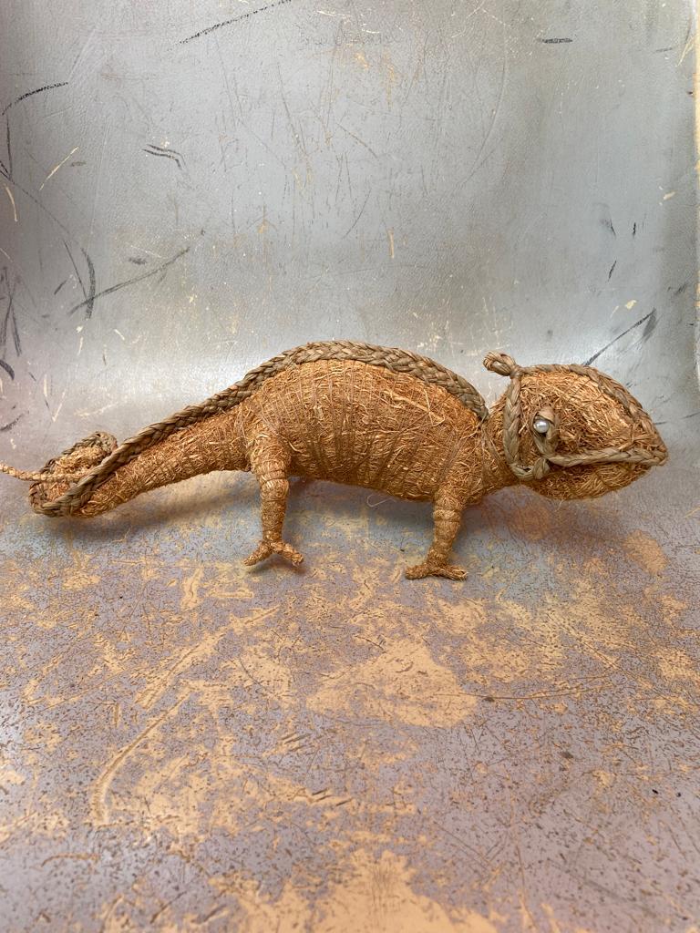 Caméléon vétiver