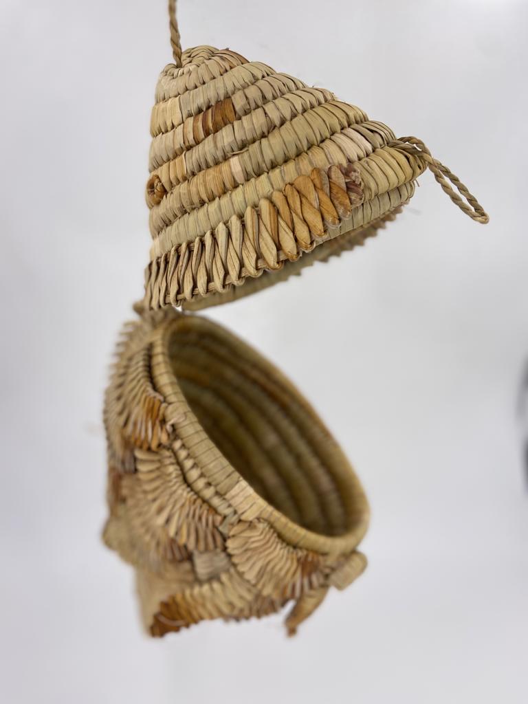 Poisson jacinthe d'eau GM