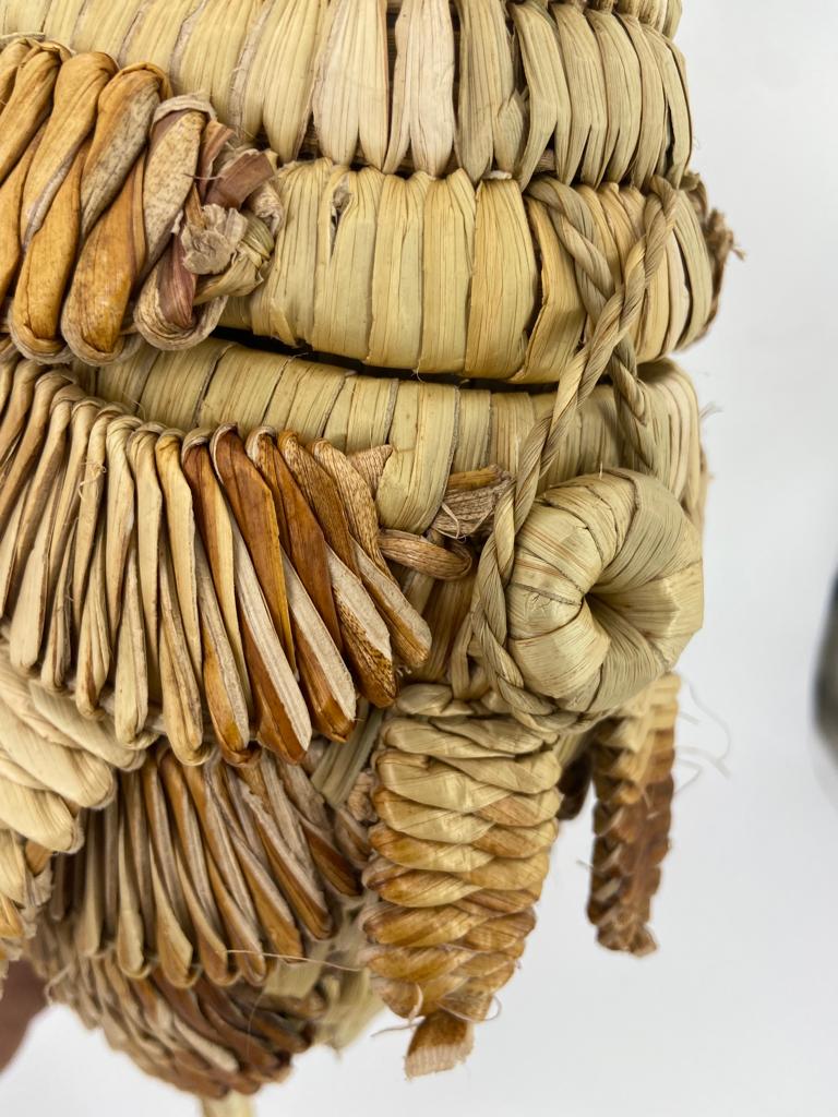 Poisson jacinthe d'eau GM