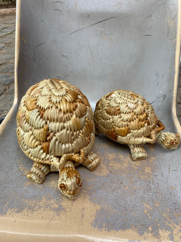 Boite décorative en jacinthe d'eau - Modèle tortue PM