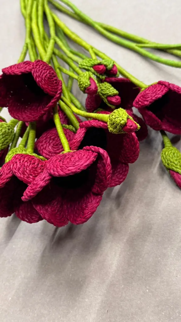 WhatsApp Image 2025-08-28 at 13.56.02.webp