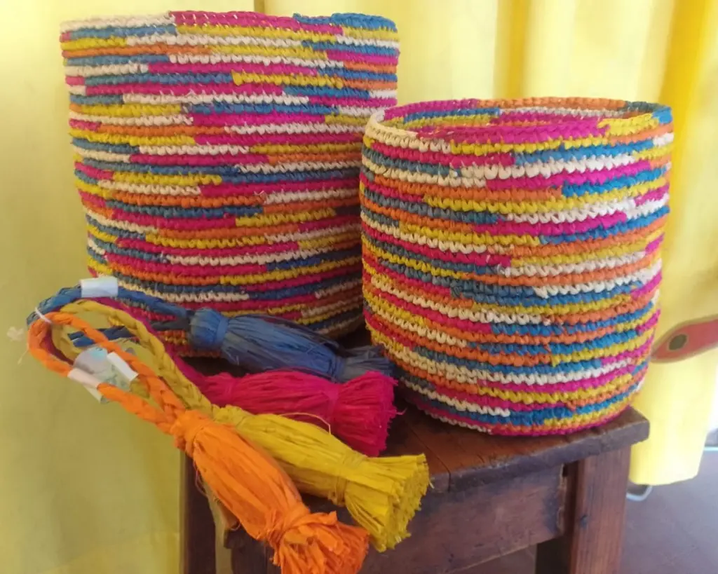 2026 rose pop 02.webp