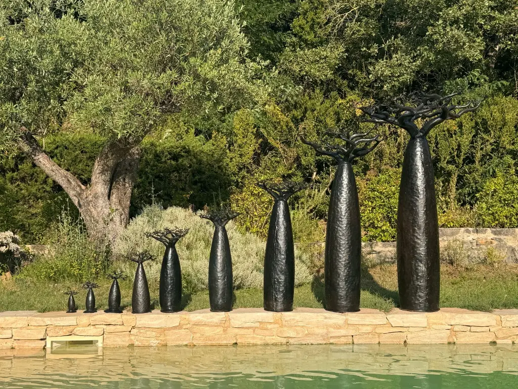 WhatsApp Image 2026-01-25 at 13.34.44.webp