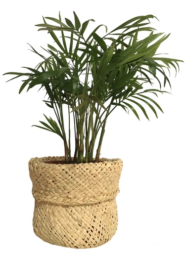 [RACP-NA024N] Cache-pot en raphia - Modèle Naturel ajouré MM