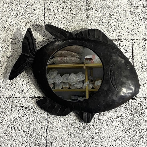 [FRMR-PS035F] Miroirs en métal recyclé - Modèle Poisson noir