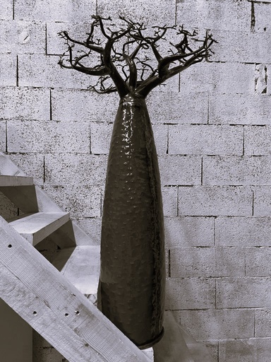 [FRBG-BM120F] Baobab a poser en métal recyclé - Modèle TGM 100 BRUT - tronc bombé - Hauteur totale 120cm diamètre tronc 25cm (copie)